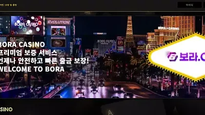 보라카지노(bora123.com) 먹튀 피해 사례 공개 - 300,000원 먹튀 주의!