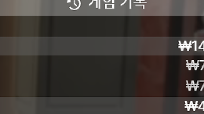 파라존(헤라)후기