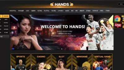 핸즈 hns-88.com​ 139만원 먹튀