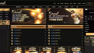 서울 se-114.com 250만원 먹튀